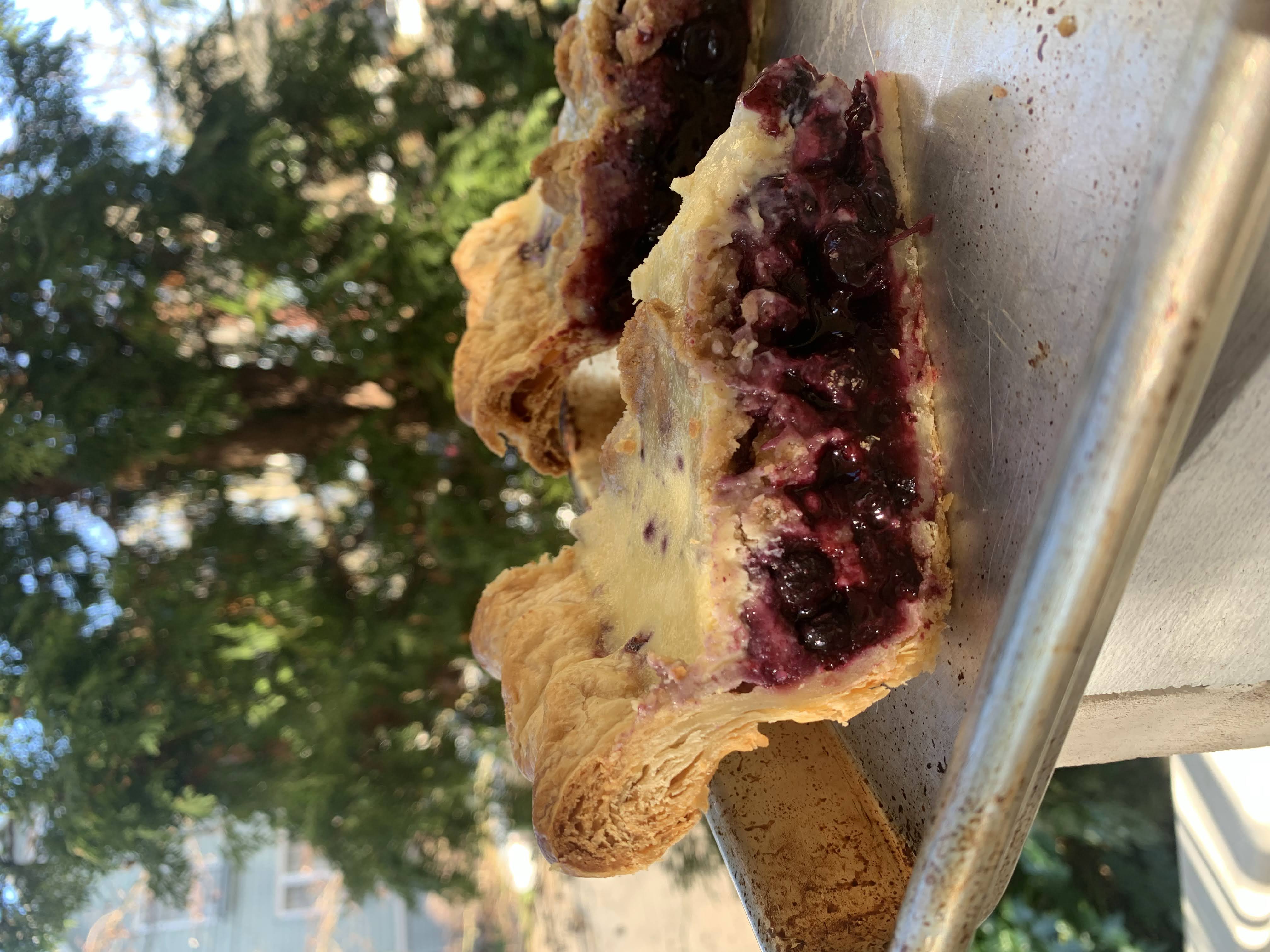 A blueberry pie with streusel, smothered with custard, with some blueberries and streusel peeking through.