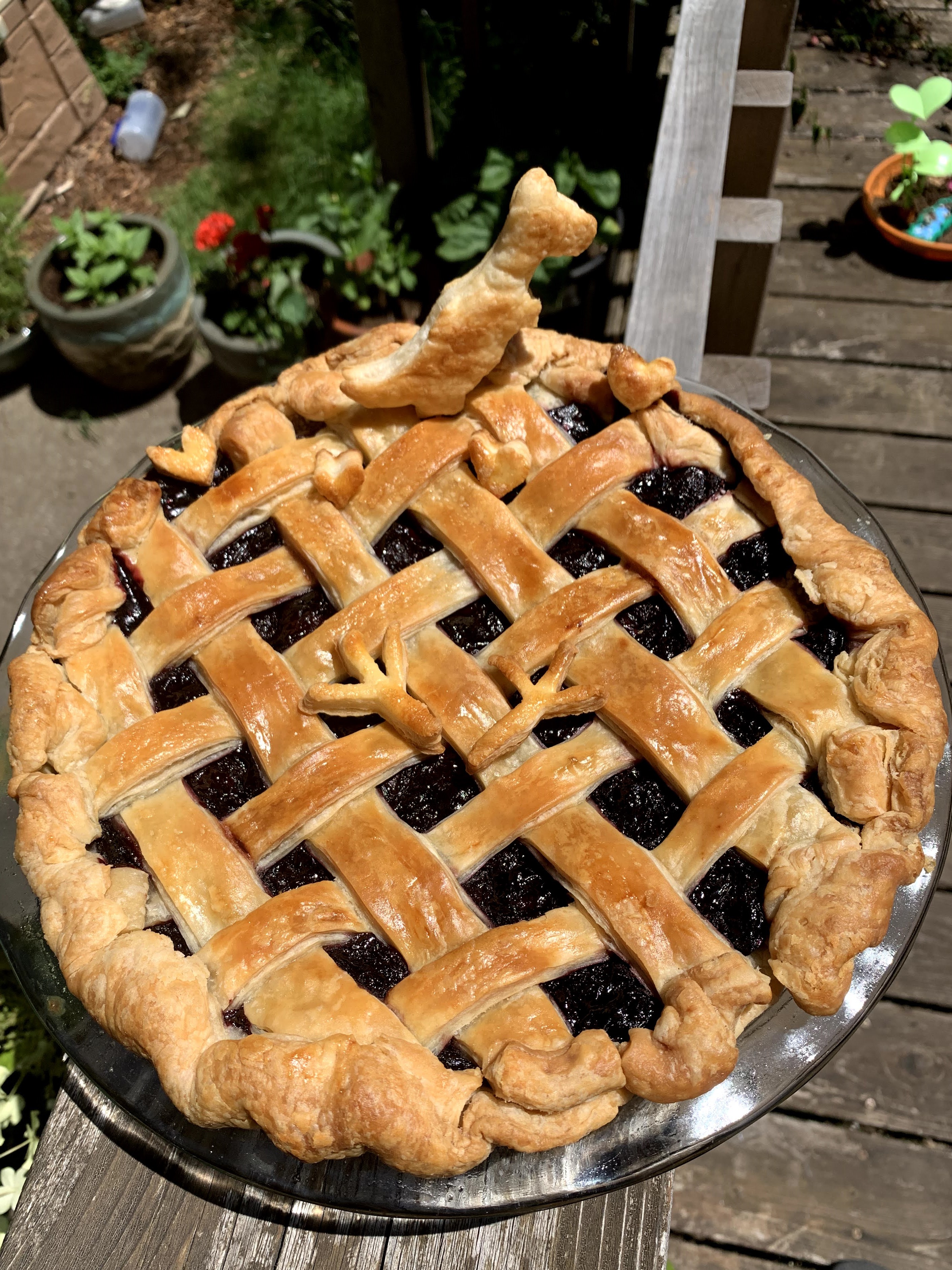 A latticed cherry pie decorated with a dinosaur and two chicken feet cut out of pie crust.