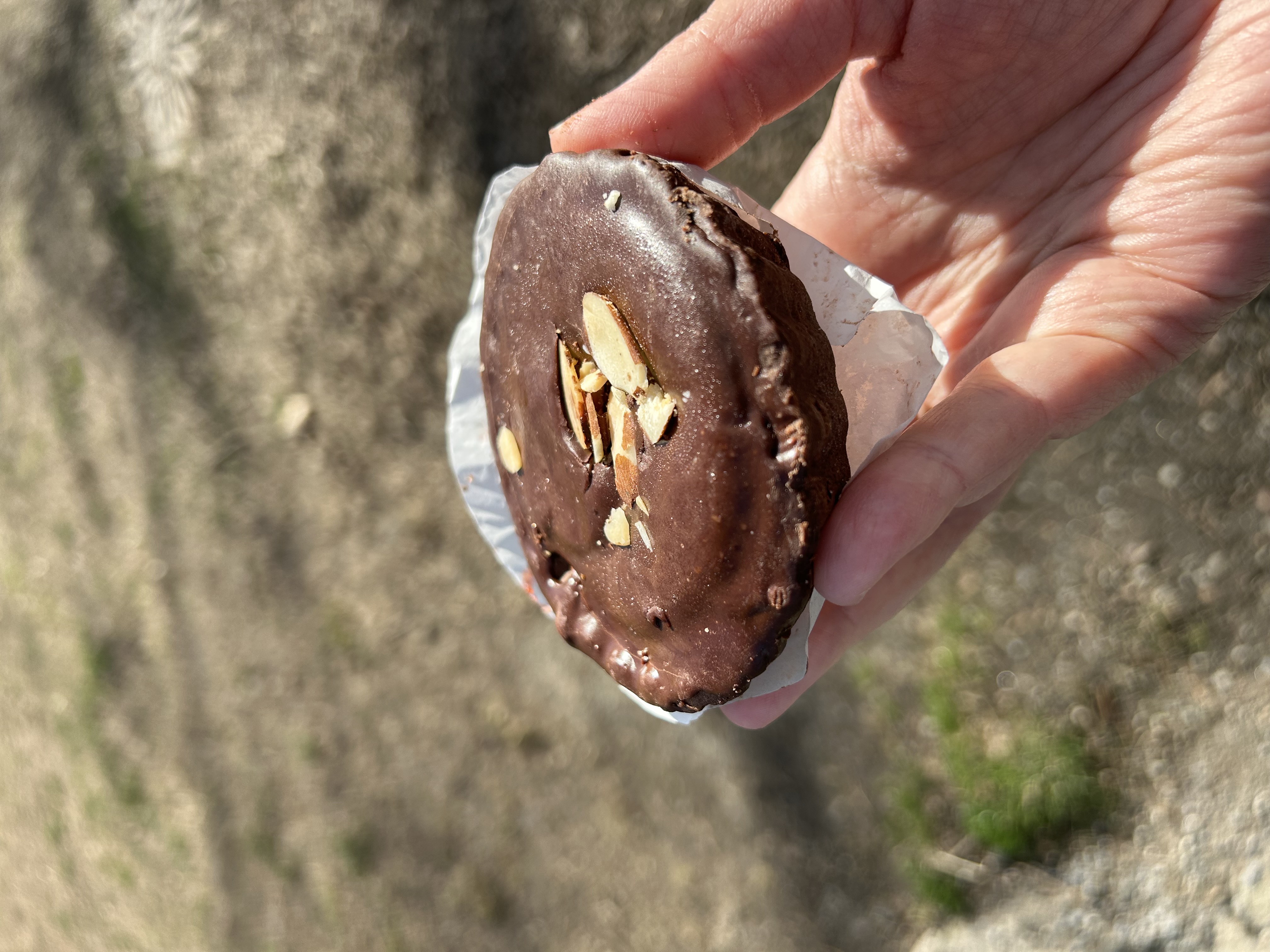 A chocolate tart with chocolate and almond filling.